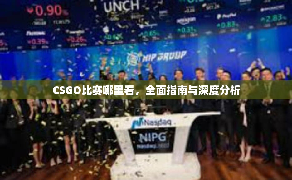 CSGO比赛哪里看，全面指南与深度分析